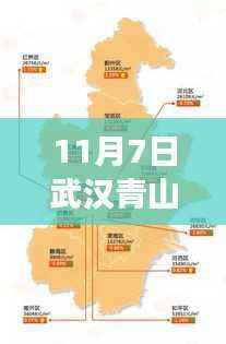 武汉青山房价最新动态深度解析，热议背后的趋势与展望（11月7日）