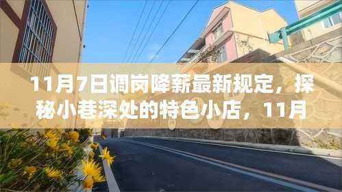 探秘小巷深处的特色小店,揭秘调岗降薪新规定下的意外惊喜之旅