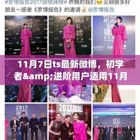 初学者与进阶用户指南,11月7日微博最新任务完成全攻略发布