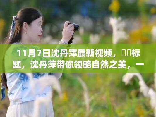 沈丹萍最新视频,自然之美的心灵之旅