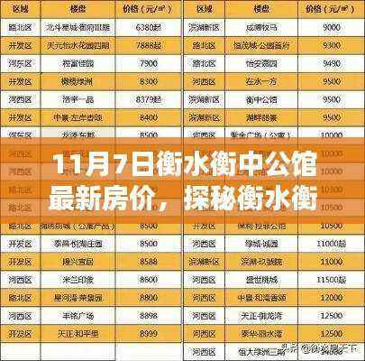 衡水衡中公馆最新房价揭秘，小巷特色小店与房价奥秘探索