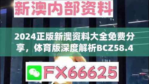 2024正版新澳资料大全免费分享,体育版深度解析BCZ58.48