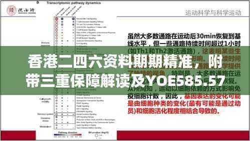 香港二四六资料期期精准，附带三重保障解读及YOE585.57预测版新释
