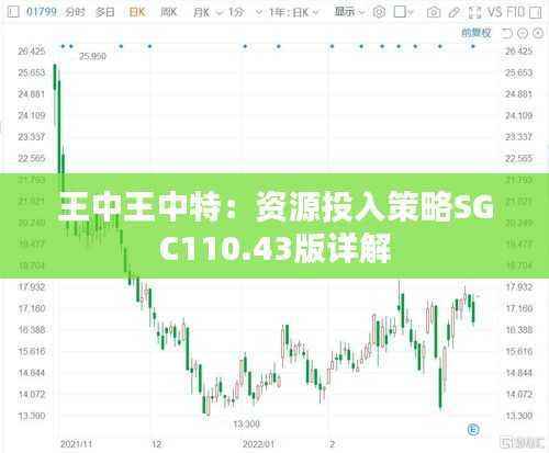 王中王中特:资源投入策略SGC110.43版详解