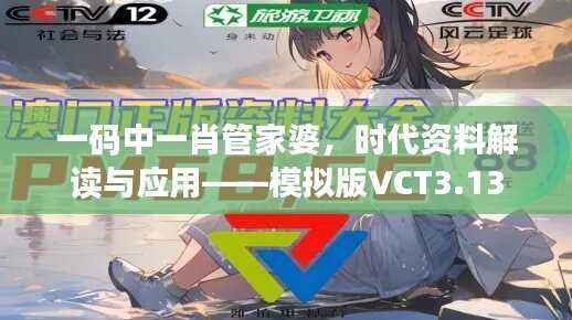 一码中一肖管家婆,时代资料解读与应用——模拟版VCT3.13