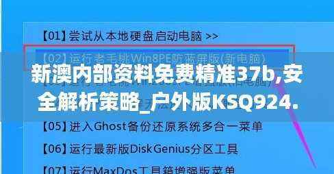 新澳内部资料免费精准37b,安全解析策略_户外版KSQ924.72