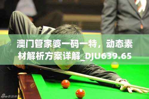 澳门管家婆一码一特,动态素材解析方案详解_DJU639.65