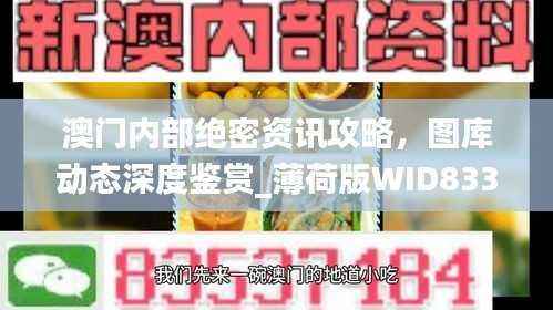 澳门内部绝密资讯攻略，图库动态深度鉴赏_薄荷版WID833