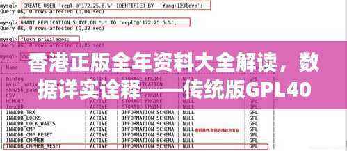 香港正版全年资料大全解读，数据详实诠释——传统版GPL40.36
