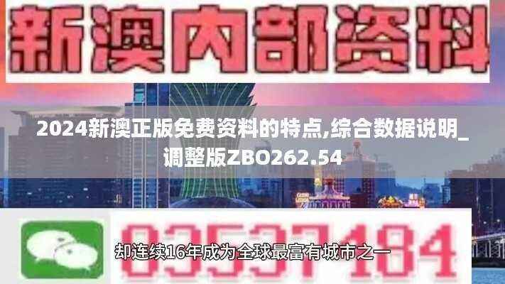 2024新澳正版免费资料的特点,综合数据说明_调整版ZBO262.54