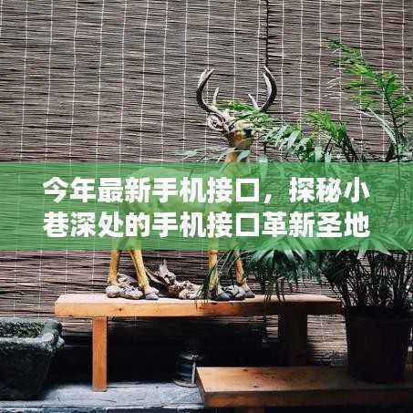 探秘小巷深处的手机接口革新圣地,特色小店独特风采揭秘