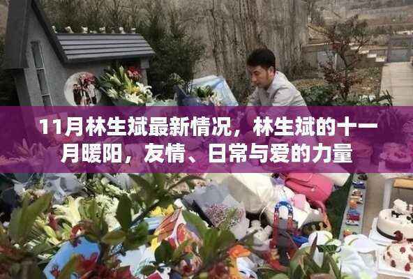 林生斌最新动态,十一月暖阳下的友情与爱,日常力量的见证
