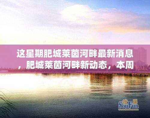 肥城莱茵河畔本周焦点,最新消息与多元观点探讨