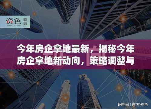 今年房企拿地最新动向揭秘,策略调整与趋势洞察(小红书版)
