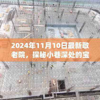 探秘宝藏之地,揭秘最新敬老院的非凡魅力之旅(2024年11月)