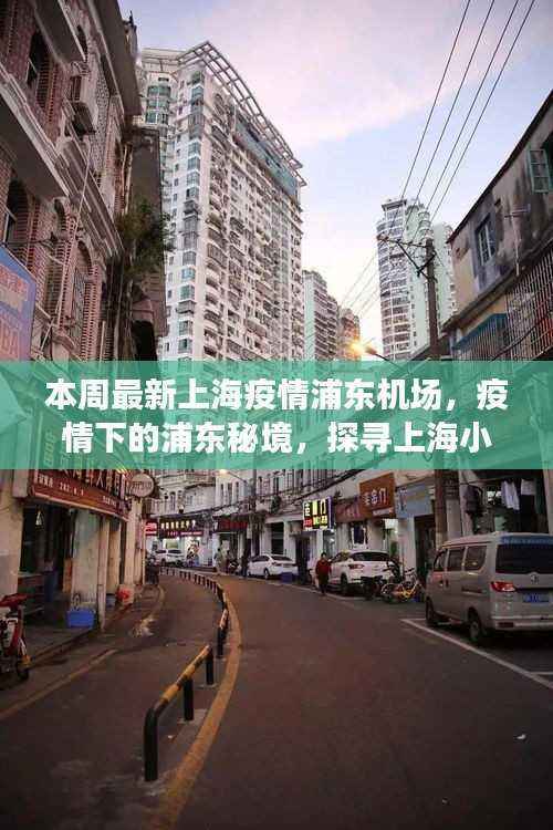 疫情下的上海秘境,浦东机场与小巷小店的最新观察