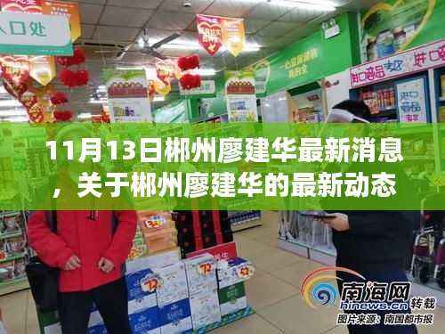 郴州廖建华最新动态深度解读与探讨,11月13日最新消息