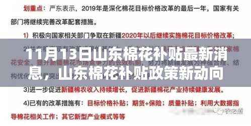 山东棉花补贴政策最新动态解析与观点探讨,11月13日最新消息速递