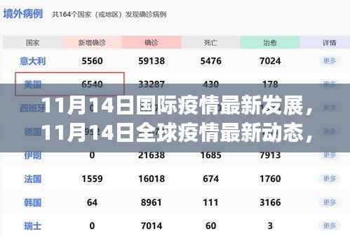 全球疫情动态更新,国际抗疫进展与关键分析(11月14日最新)