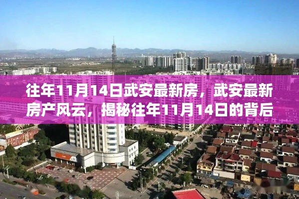 揭秘武安房产风云,历年11月14日的最新房源与故事揭秘