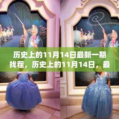 历史上的11月14日找茬之旅揭秘，最新一期精彩纷呈！