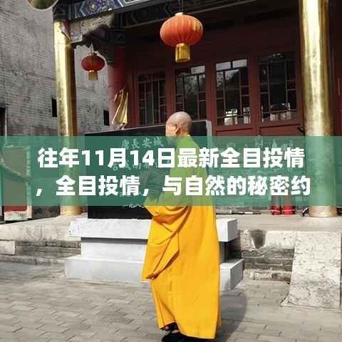 往年11月14日全目投情之旅,与自然秘密的约会,心灵远离尘嚣之旅