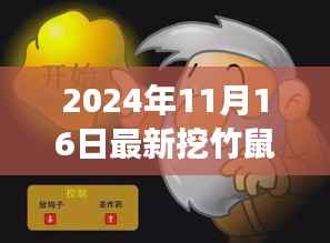 探秘竹鼠秘境,新鲜竹鼠挖掘奇旅(2024年11月16日)