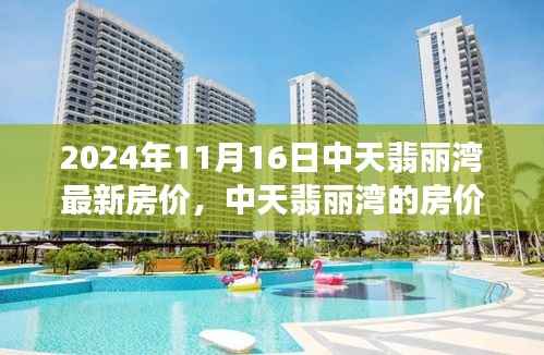 中天翡丽湾最新房价与家的温暖故事，2024年11月16日更新
