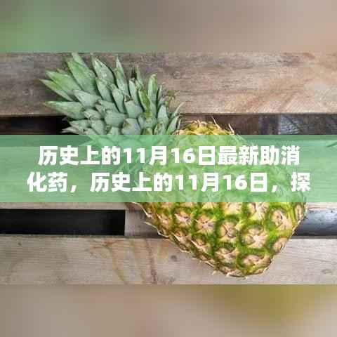 历史上的11月16日,最新助消化药制作与应用指南