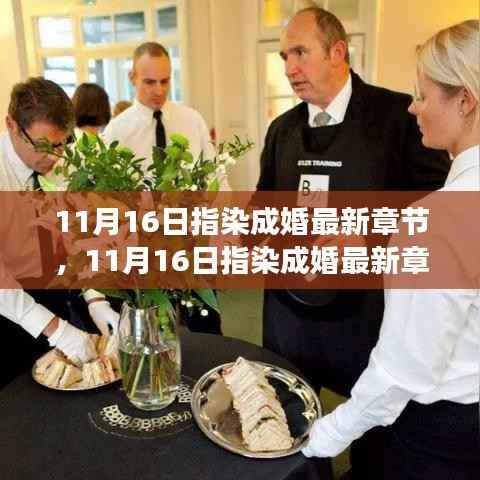 11月16日指染成婚最新章节揭秘与深度解析,小红书上的甜蜜爱情之旅