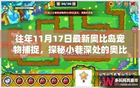 探秘奥比岛宠物捕捉秘籍店,独家记忆中的宠物捕捉之旅(11月17日更新)