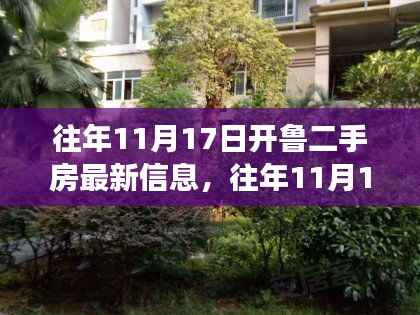 往年11月17日开鲁二手房最新信息查询攻略,轻松掌握信息获取技巧与最新房源信息全览!