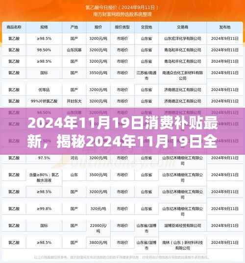 揭秘2024年11月19日全新消费补贴盛宴，省钱攻略与最新补贴信息解读