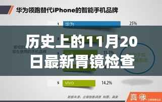 历史上的11月20日，最新胃镜检查步骤详解指南——适合初学者与进阶用户参考阅读