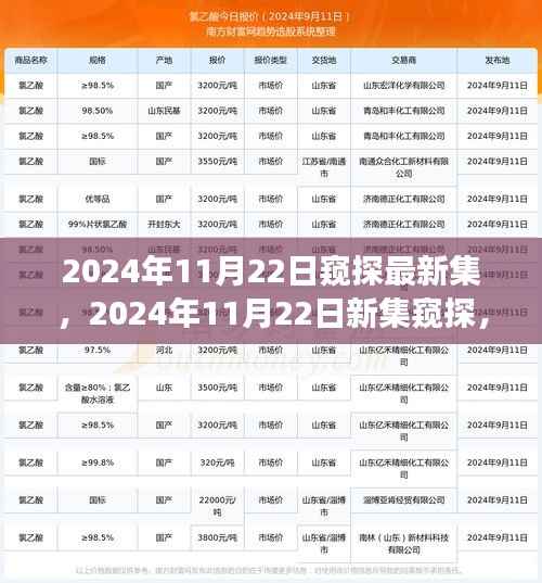 窥探最新集,视觉盛宴的期待与揭秘(2024年11月22日)