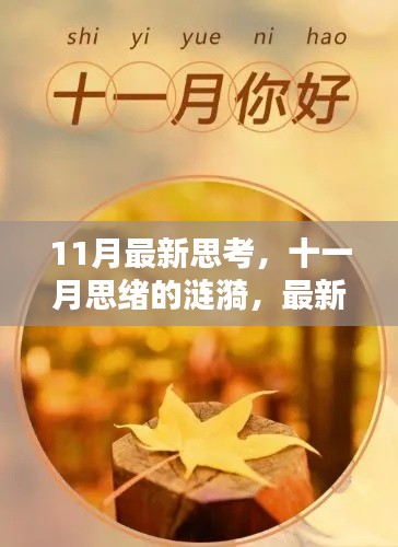 十一月思绪涟漪,最新感悟与启发