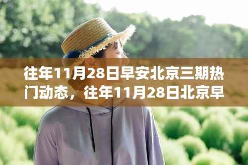 往年11月28日北京早安三期动态回顾与展望,热门动态概览与未来展望
