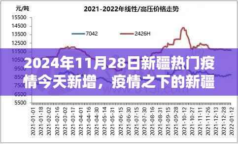 聚焦新疆疫情，2024年11月28日新增病例动态