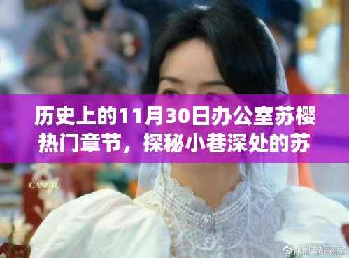 历史与美食的奇妙之旅,探秘苏樱办公室热门章节的邂逅之旅