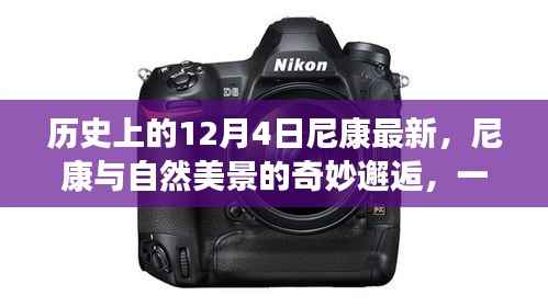尼康与自然美景的奇妙邂逅,历史时刻下的心灵之旅(尼康最新动态,纪念历史上的重要时刻)