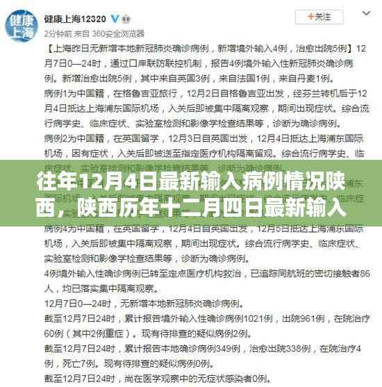 陕西历年十二月四日输入病例分析,最新情况与观点探讨