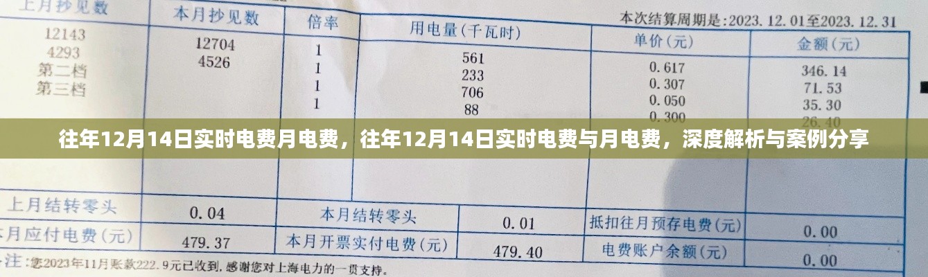 深度解析与案例分享,往年12月14日实时电费与月电费对比及分享