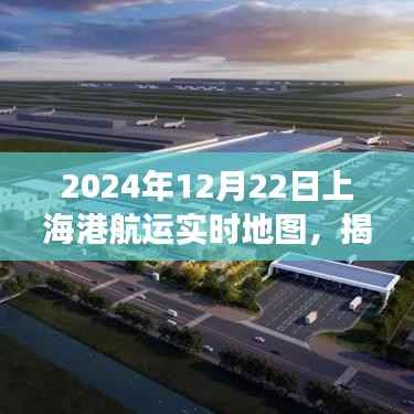 揭秘上海港航运实时地图,港口运营洞察——2024年12月22日