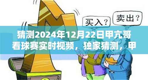 独家预测,甲亢哥2024年世界杯看球赛实况直播,激动人心的夜晚回顾