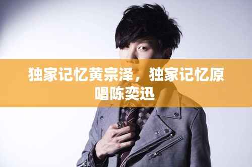 独家记忆黄宗泽,独家记忆原唱陈奕迅