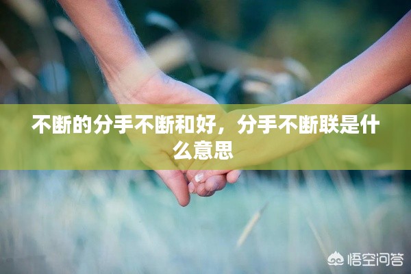 联系我们 第229页