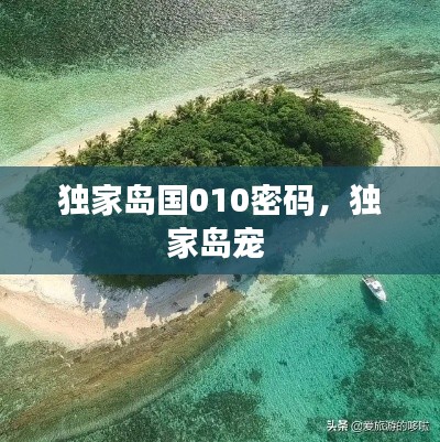 独家岛国010密码,独家岛宠
