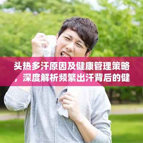 头热多汗原因及健康管理策略,深度解析频繁出汗背后的健康隐患