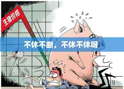 不休不断,不休不休呀