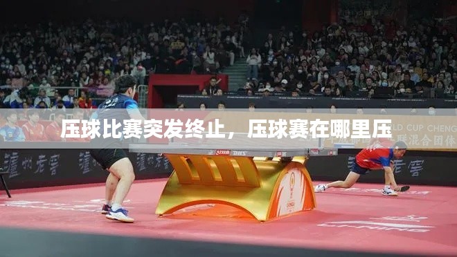 压球比赛突发终止,压球赛在哪里压